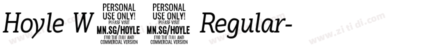Hoyle W05 Regular字体转换